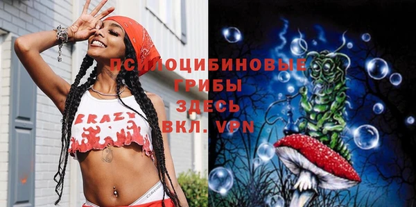 стаф Баксан